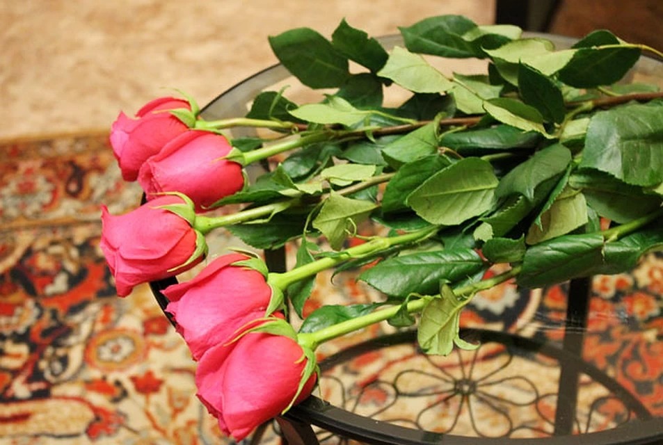 Чтобы срезанные розы дольше стояли в вазе. Выбирает розу. Цветы долго стоят. Как реанимировать розы в букете в домашних условиях.